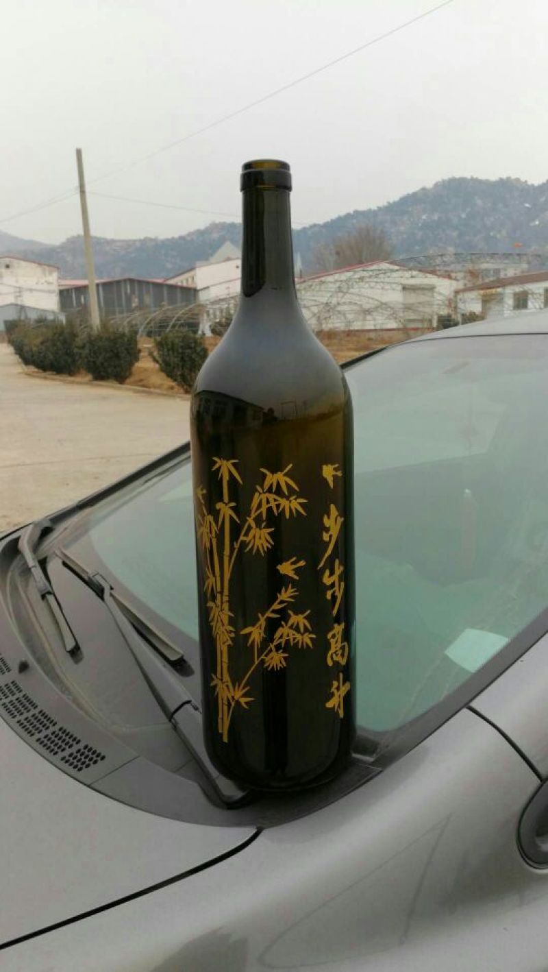 酒瓶兰50~80cm