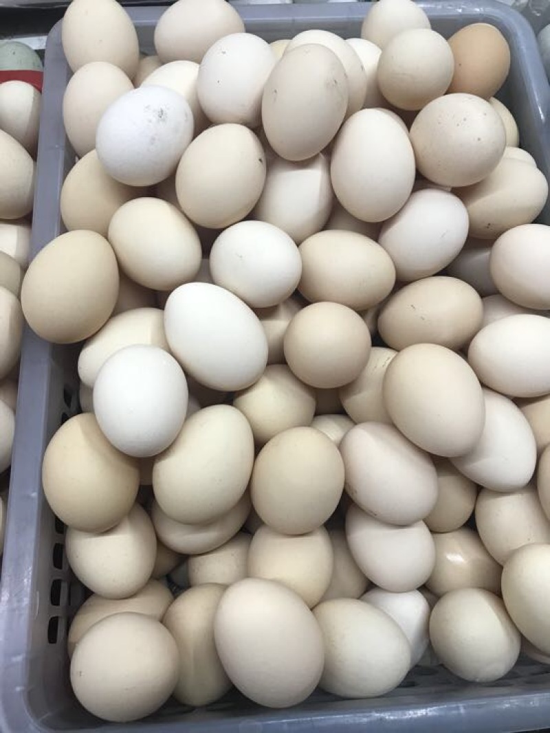 鸡蛋40~50g食用