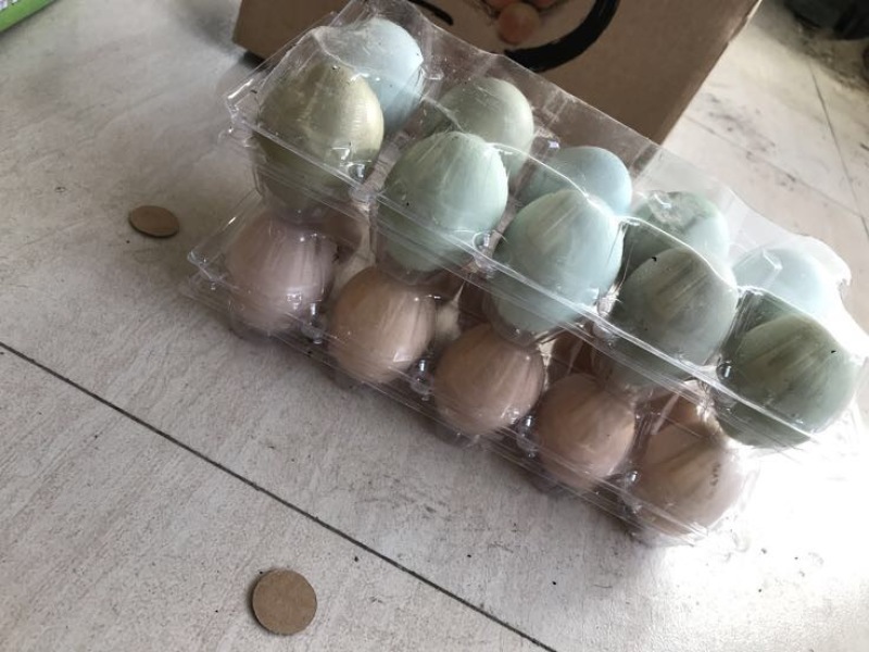 鸡蛋40~50g食用