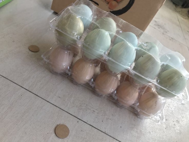 鸡蛋40~50g食用