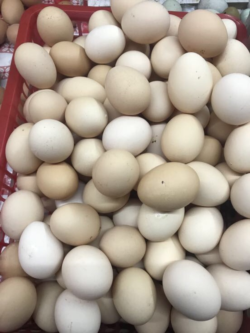 鸡蛋40~50g食用