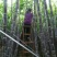 甘蔗种子河南全省均有示范园
