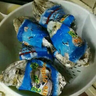 生蚝纯净生蚝营养佳品