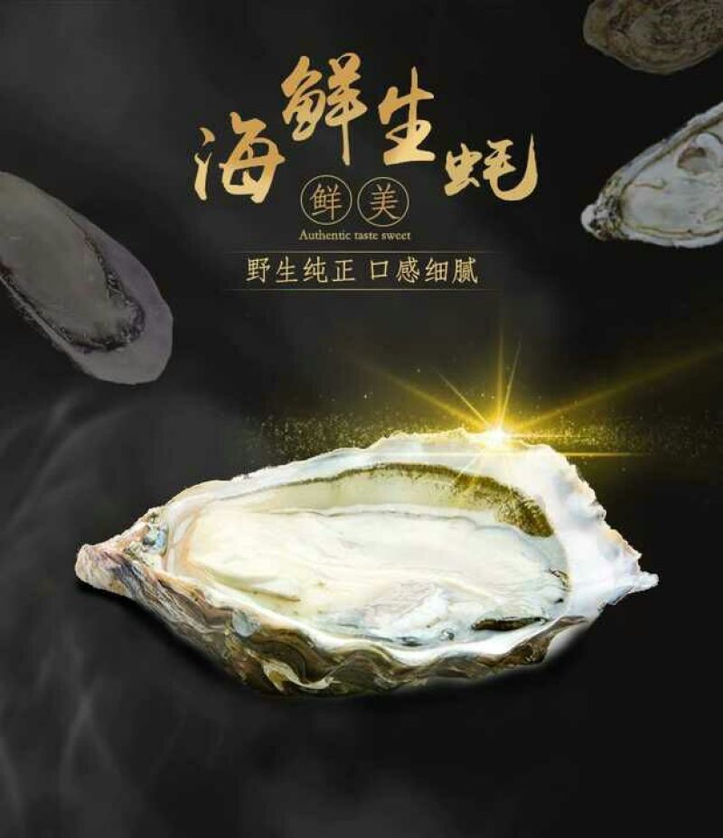 生蚝纯净生蚝营养佳品