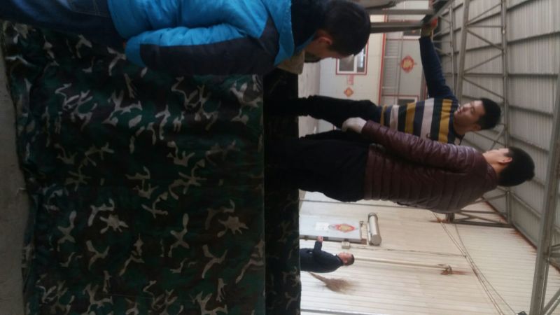 金乡红帽蒜薹通货60~70cm
