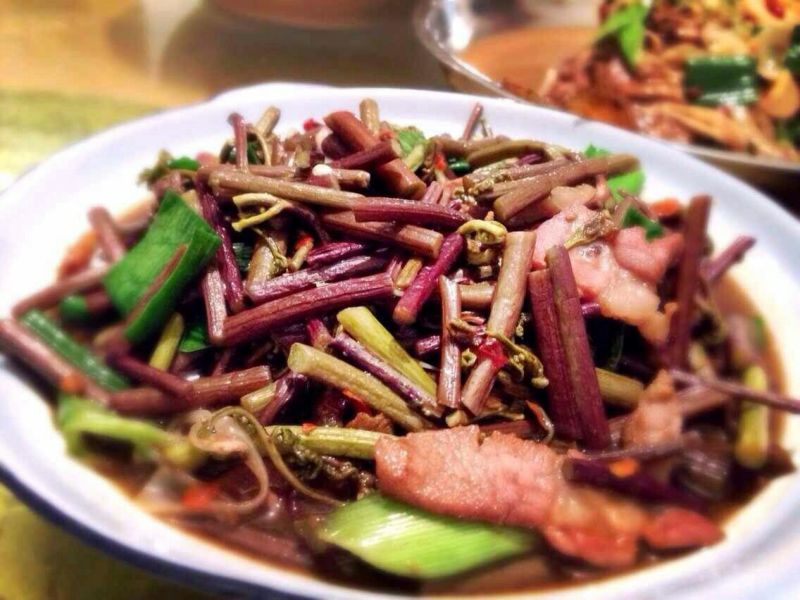 蕨菜-高山有机菜，健康菜