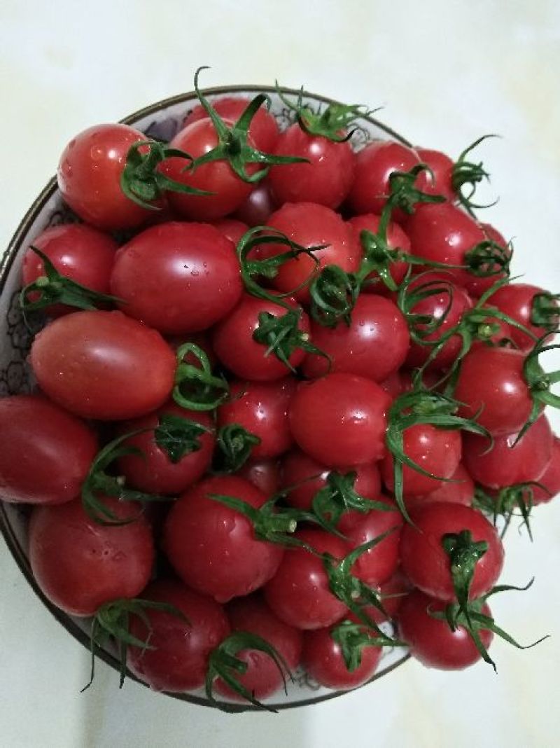 陵水圣女果千禧小番茄小西红杮