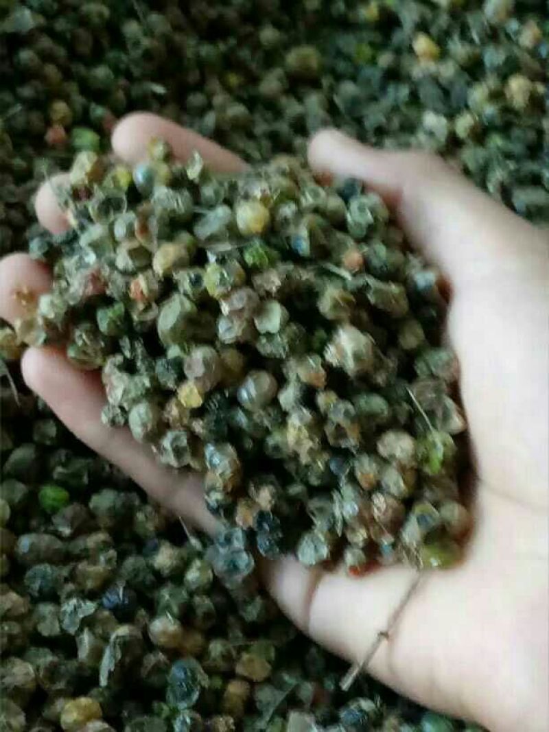 白芨