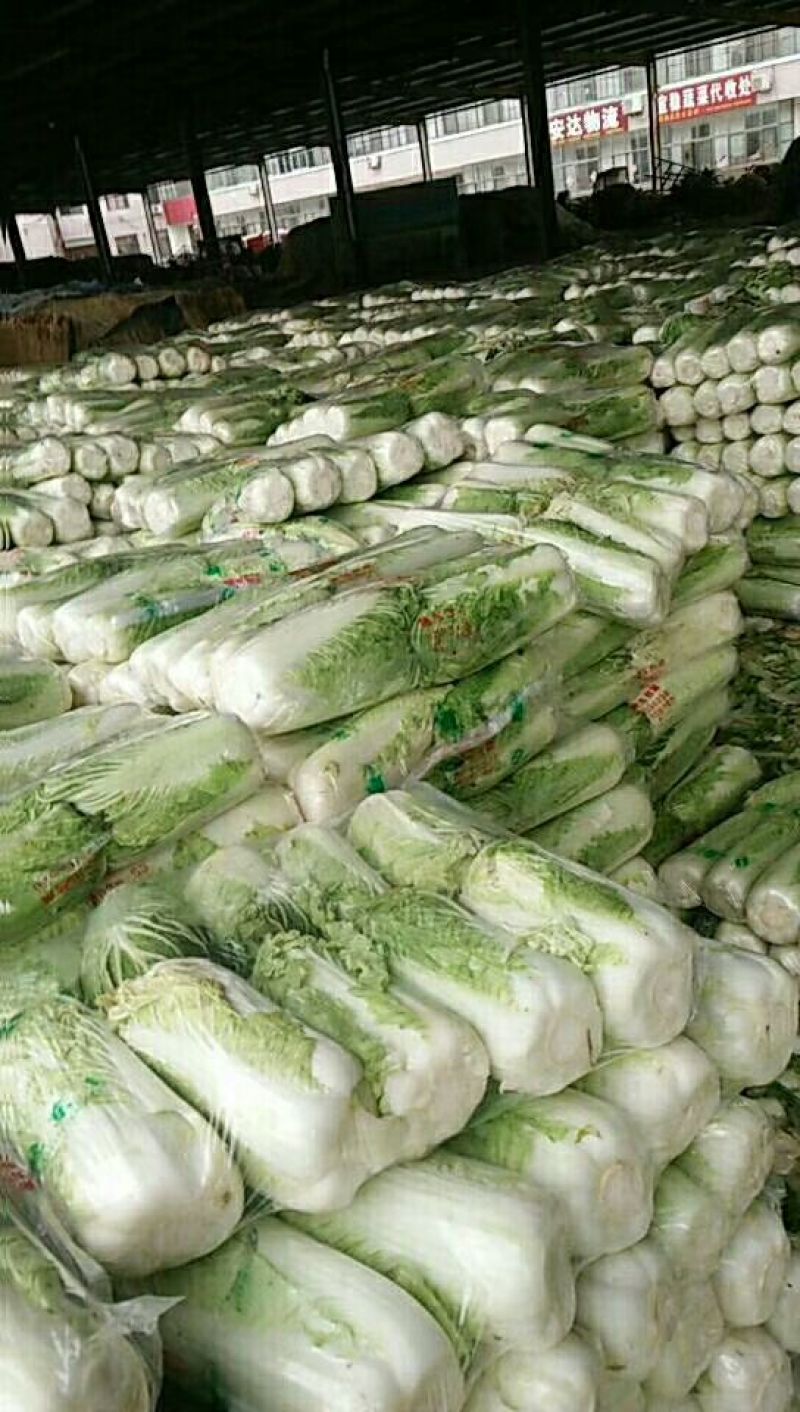 北京新三号白菜按要求加工包装