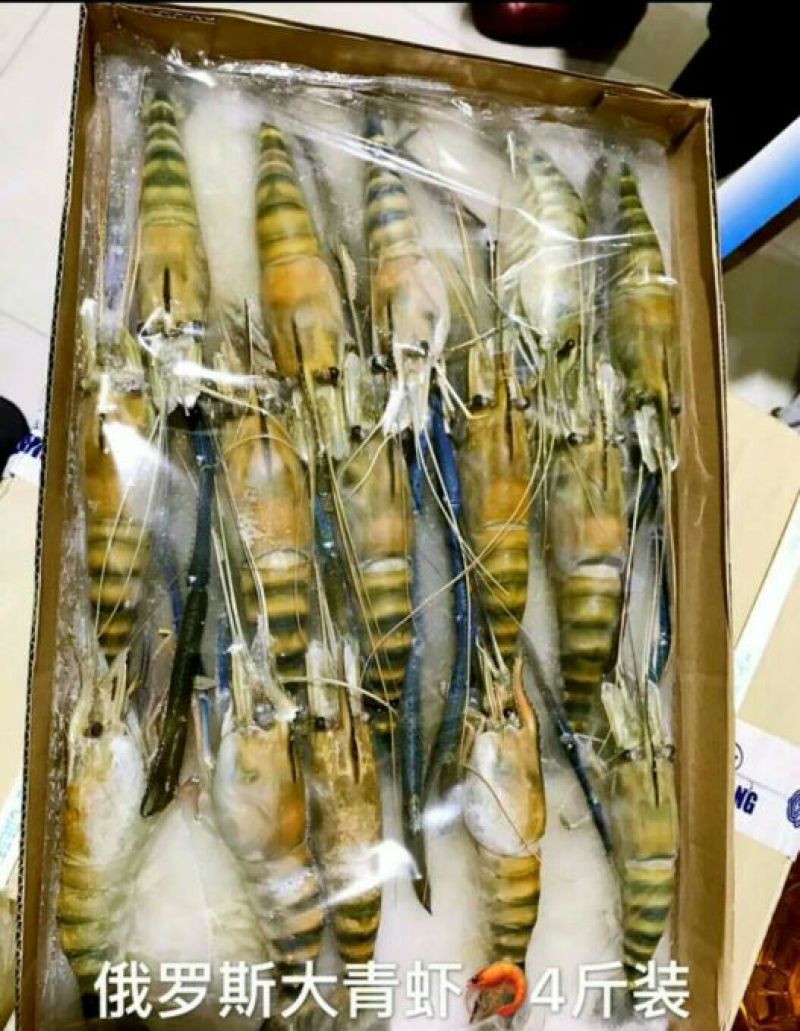 南美白对虾食用冰鲜虾