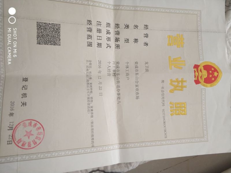 金银花苗北花系列，两年苗，技术指导，包回收干花。