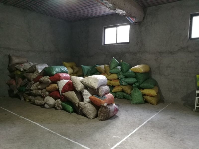 核桃去皮25~30mm干