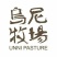 蒙古马100~200kg