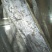 刀鱼食用冰鲜鱼