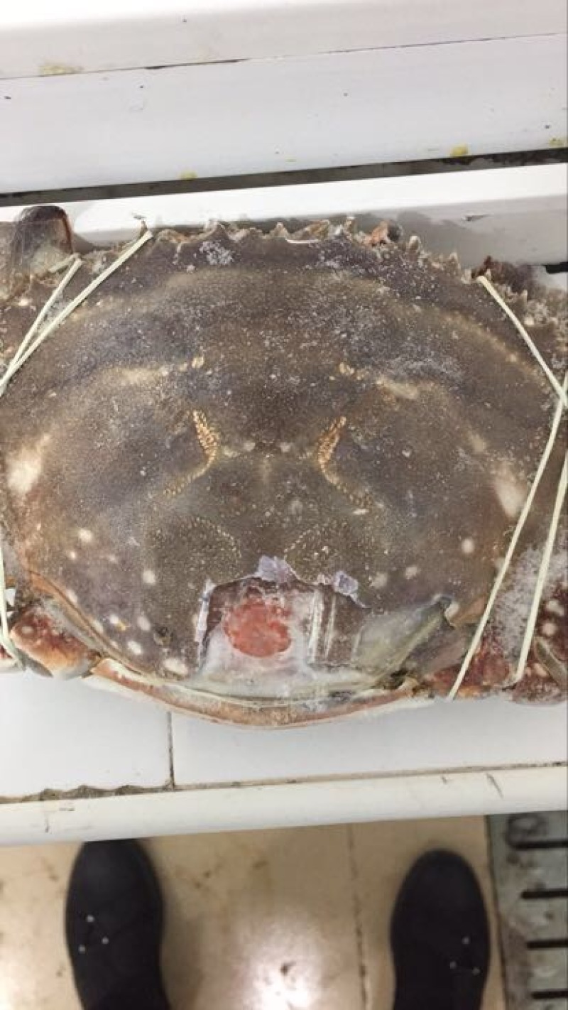 梭子蟹食用冻品