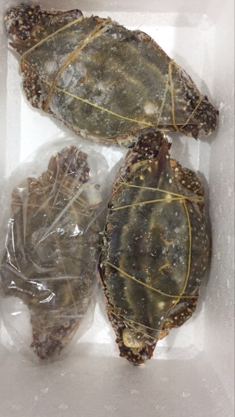 梭子蟹食用冻品