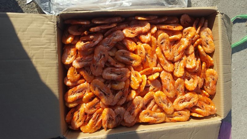 对虾食用冰鲜虾