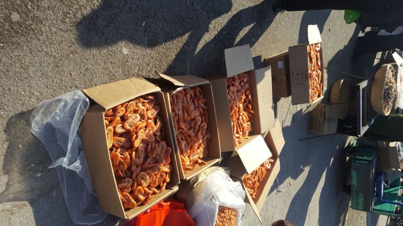 对虾食用冰鲜虾