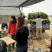 商薯19红薯苗量大基地直供品种齐全全国发货