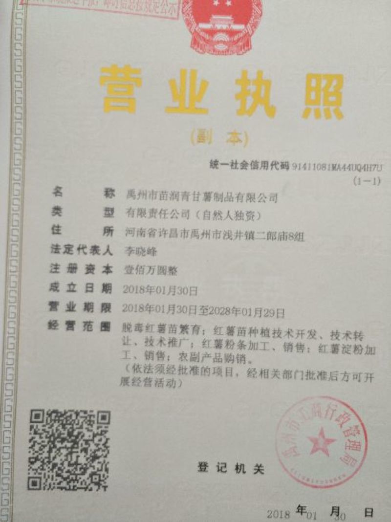 红根蒜苗50~60cm