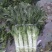 莴苣2斤以上40~50cm