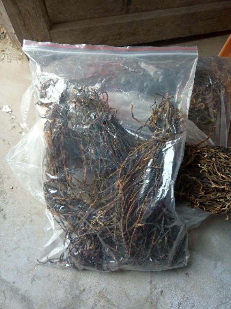 脱水长豆角