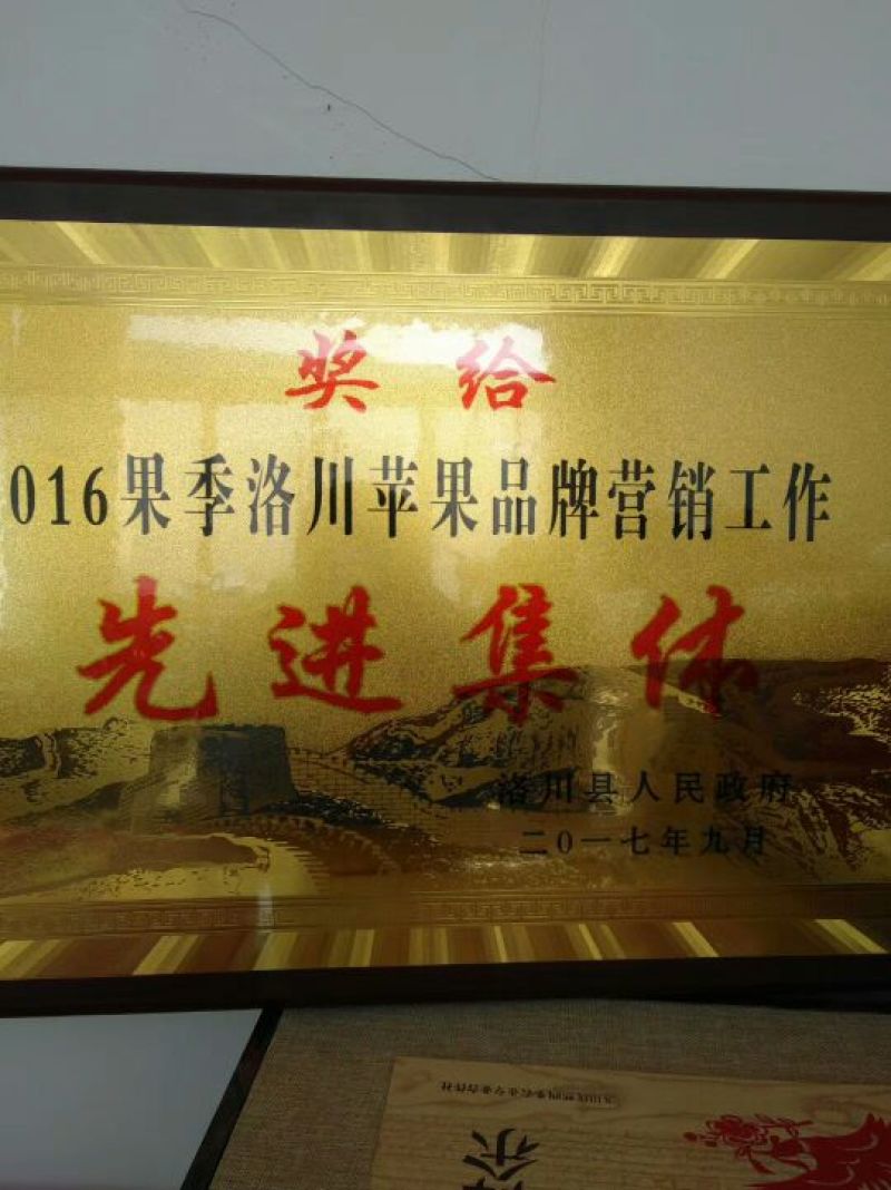 红富士苹果晚熟富士上市，个头大，颜色好，轻微冰雹果