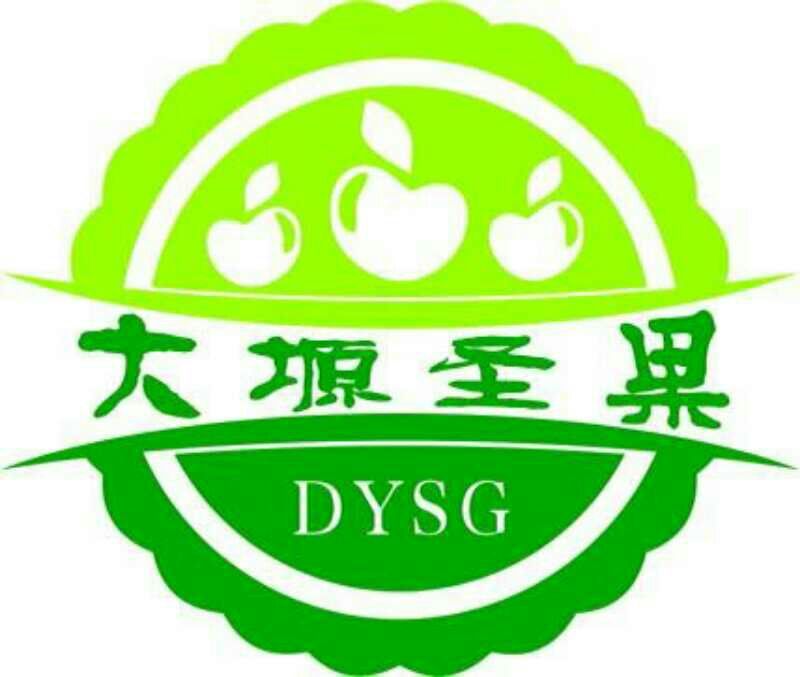红富士苹果晚熟富士上市，个头大，颜色好，轻微冰雹果
