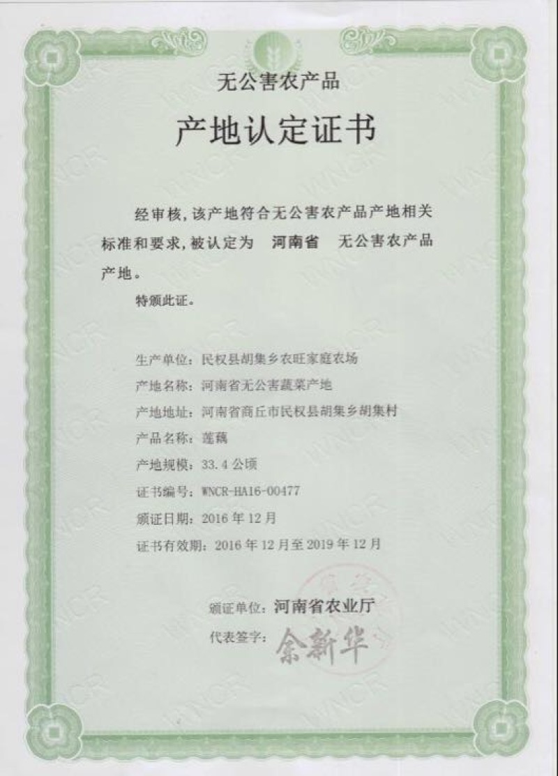 莲藕7~9厘米10~15厘米以上