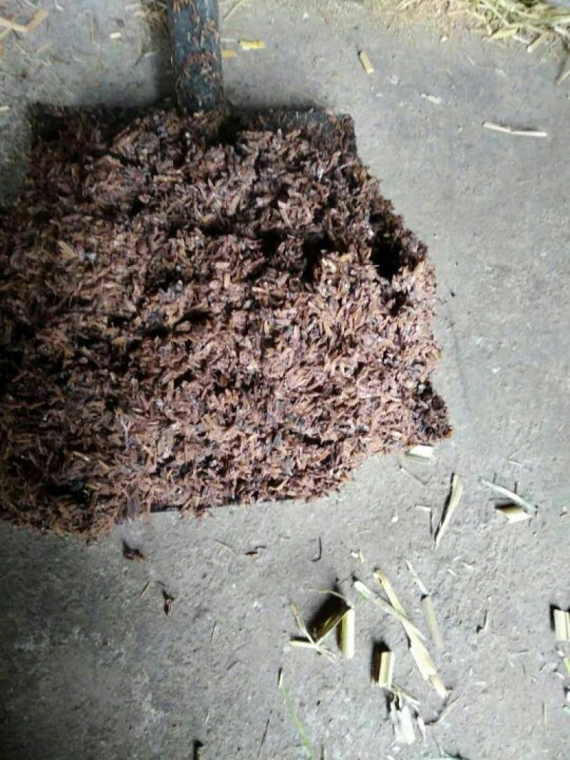 酒糟高粮，糠皮量大从优