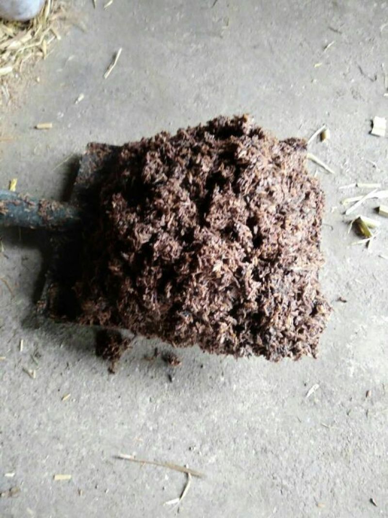 酒糟高粮，糠皮量大从优