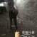 伊犁马200~300kg