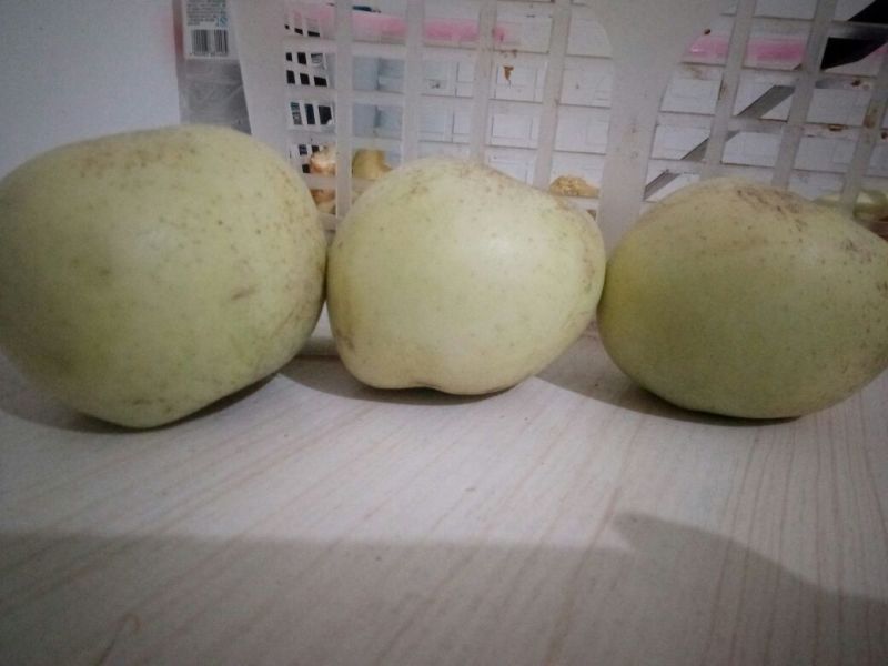 印度青苹果80mm以上膜袋