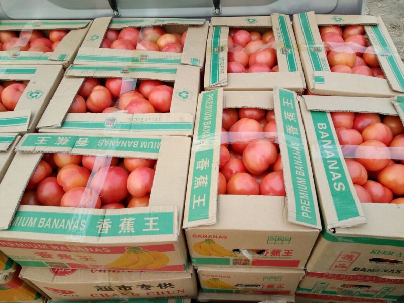 [热卖]优质精品硬粉弧三以上，全国发货，电商，商超