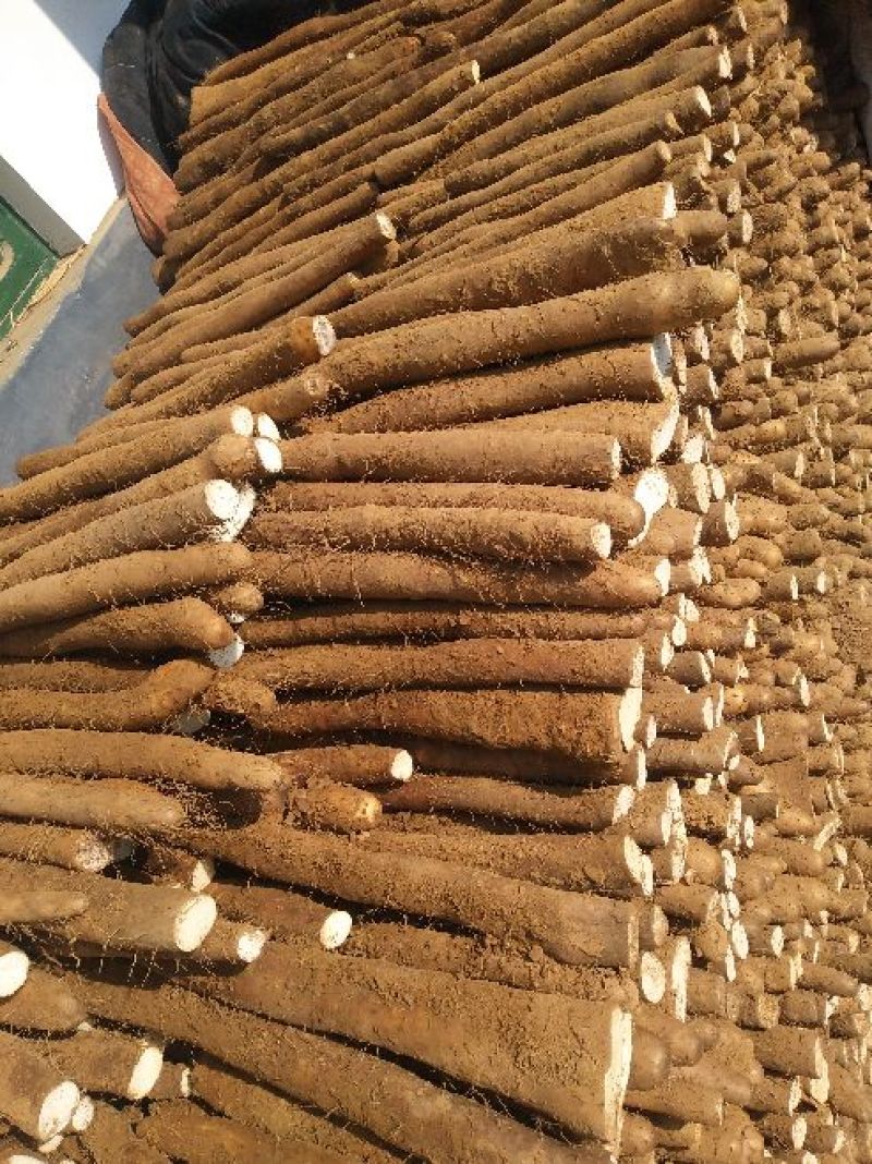 白玉山药3~4厘米一级手捡40~50厘米