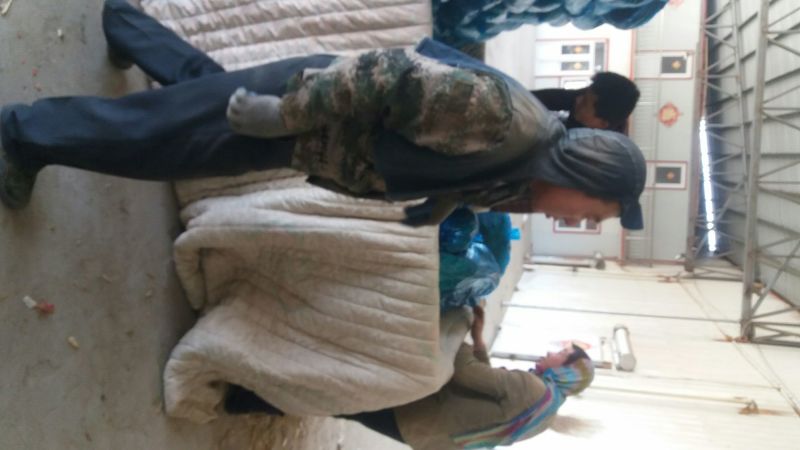 金乡红帽优质手拔苔、苔条鲜蒜薹长60-70公分