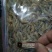 河虾冻虾26~30只/kg另有活河虾各种规格都有