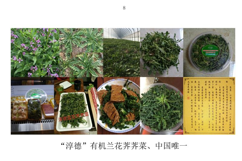 荠菜5~10cm