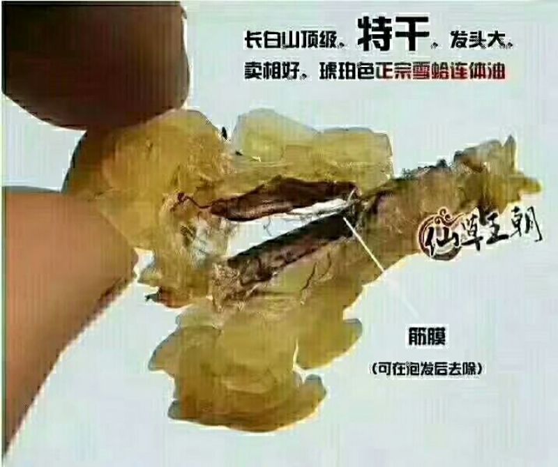 林蛙油