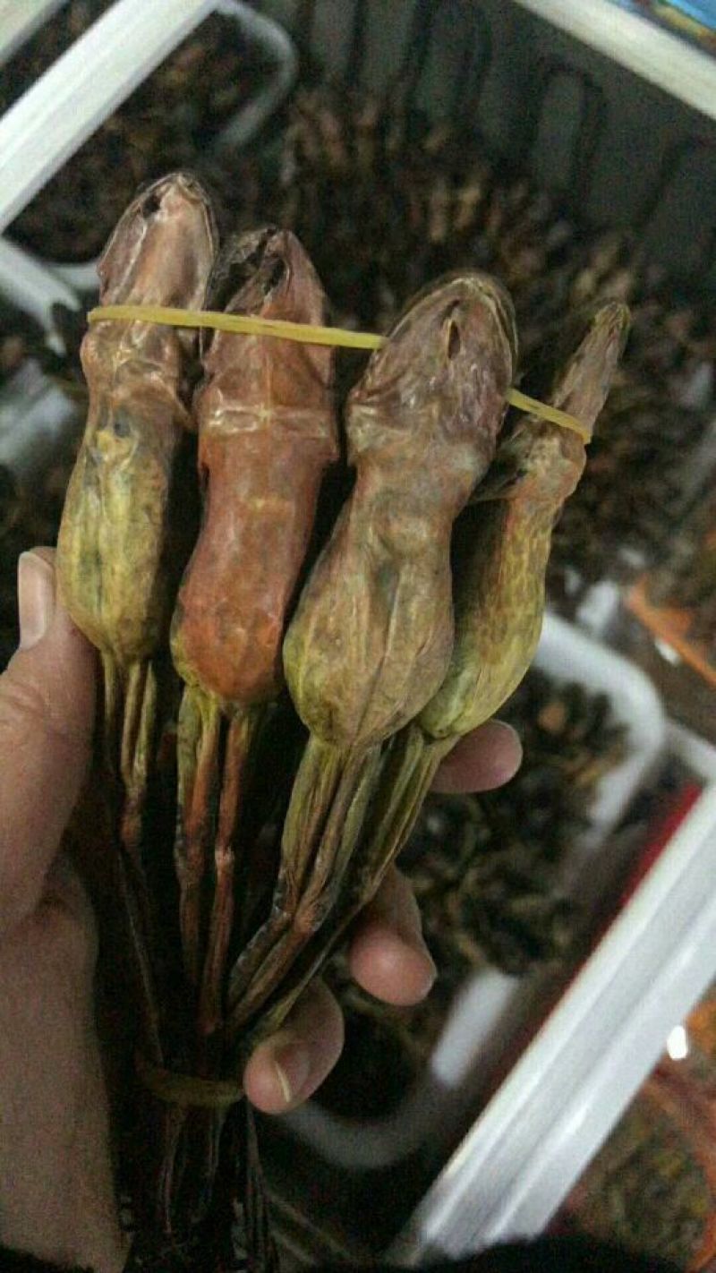 林蛙油
