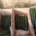 密刺黄瓜鲜花带刺25公分以上