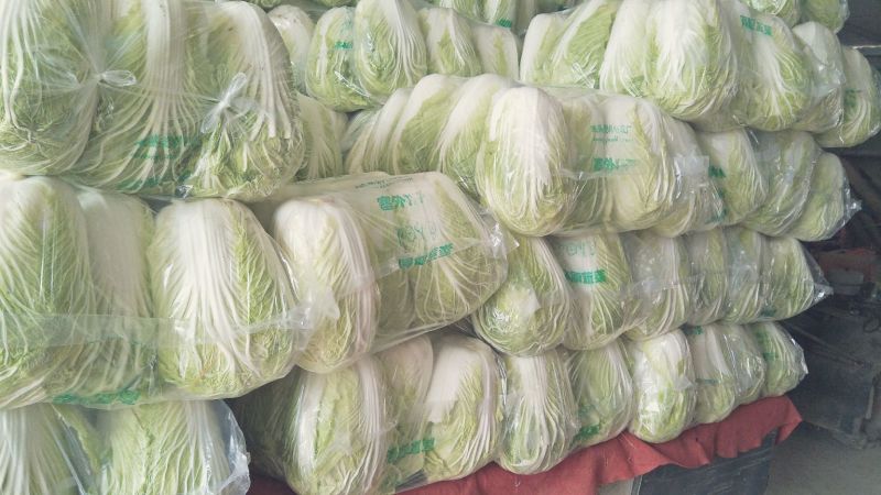 大白菜毛菜，半毛菜，青杂三号7斤以上净菜产地直销