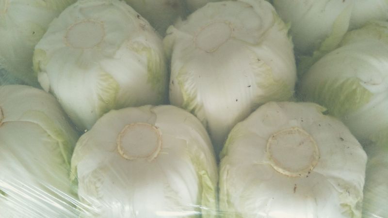 大白菜毛菜，半毛菜。青杂三号4~6斤净菜产地直销