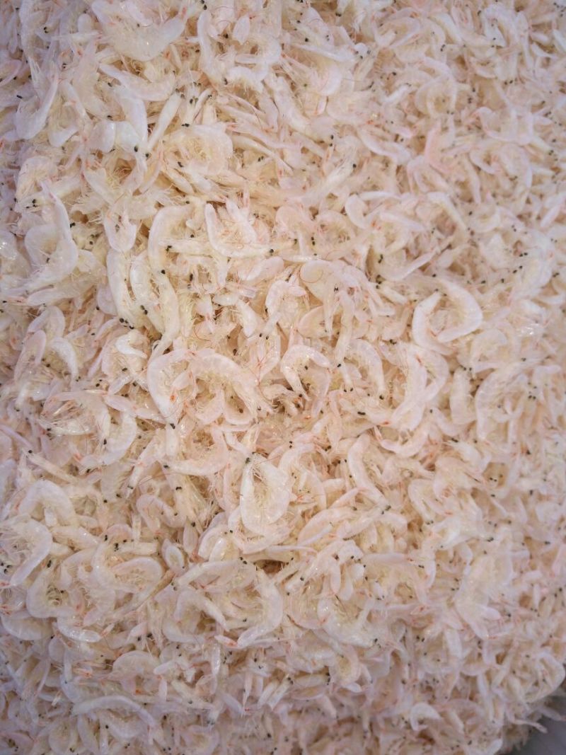 虾皮特级（淡干）