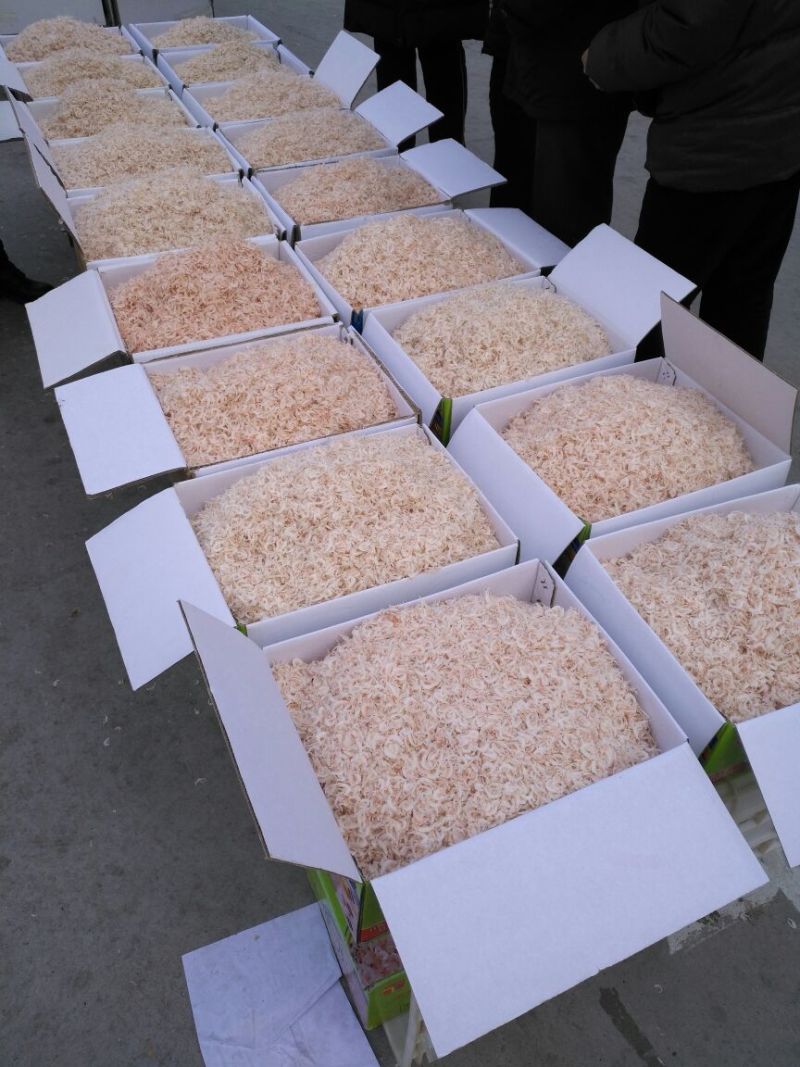 虾皮特级（淡干）