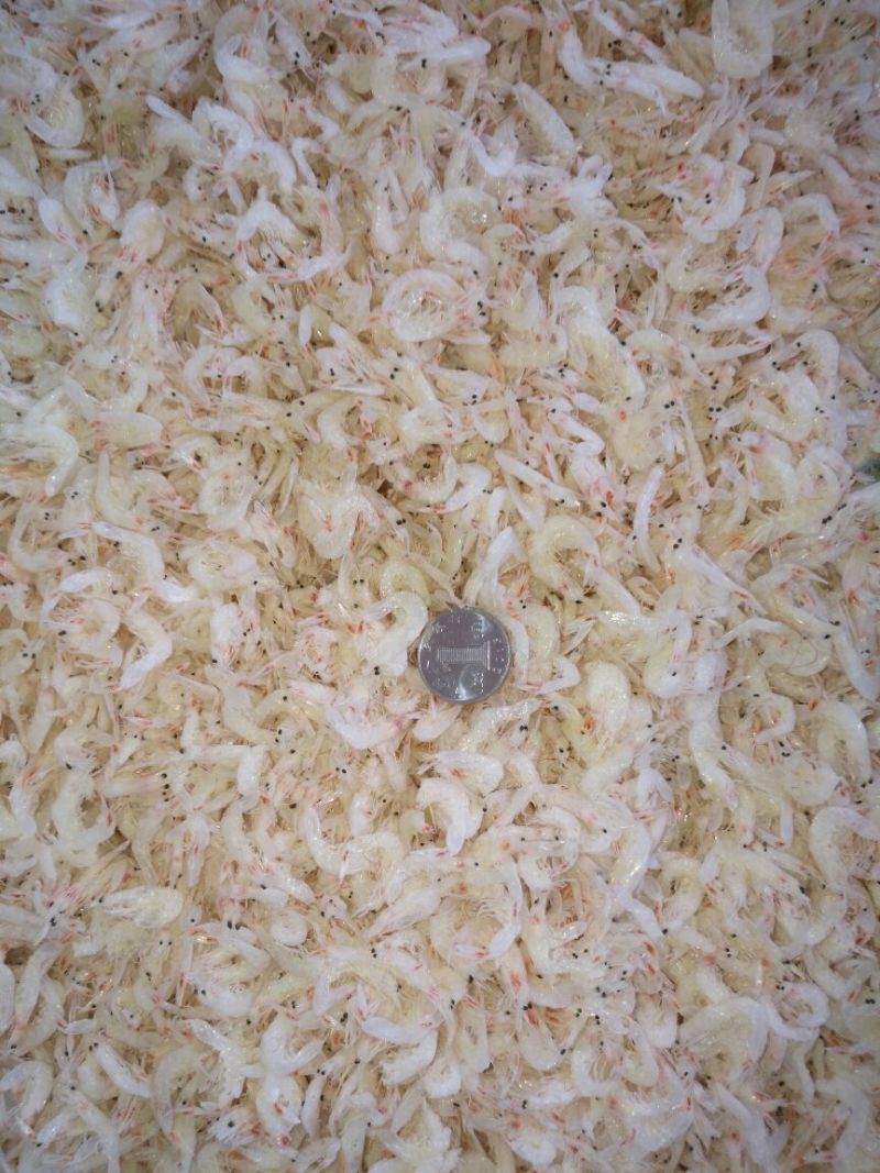 虾皮（淡干）