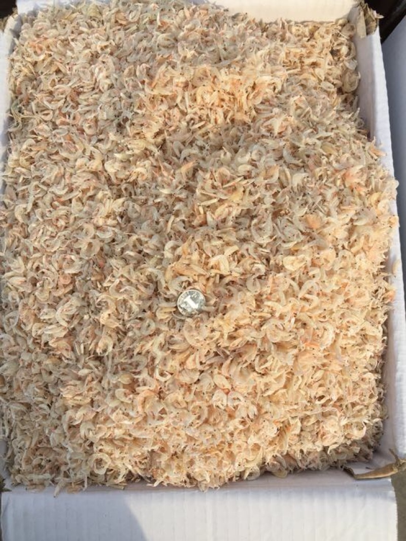 虾皮特级