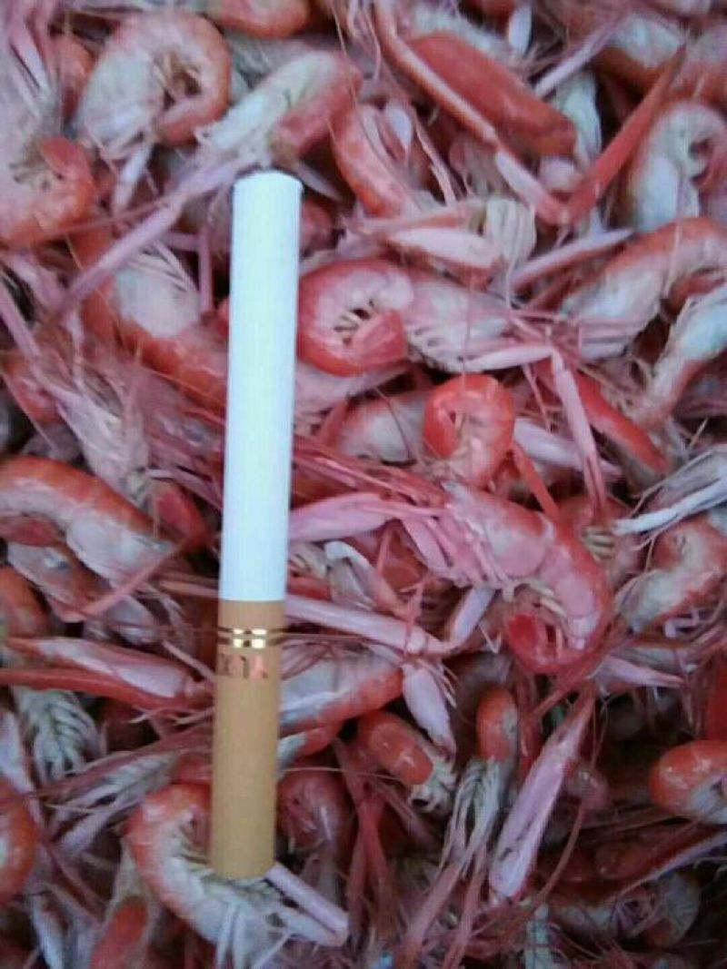 红虾食用冻虾