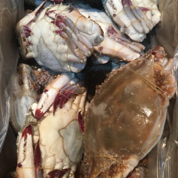 梭子蟹食用冻品