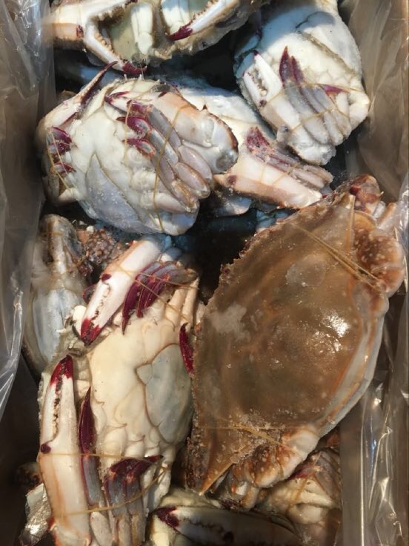 梭子蟹食用冻品